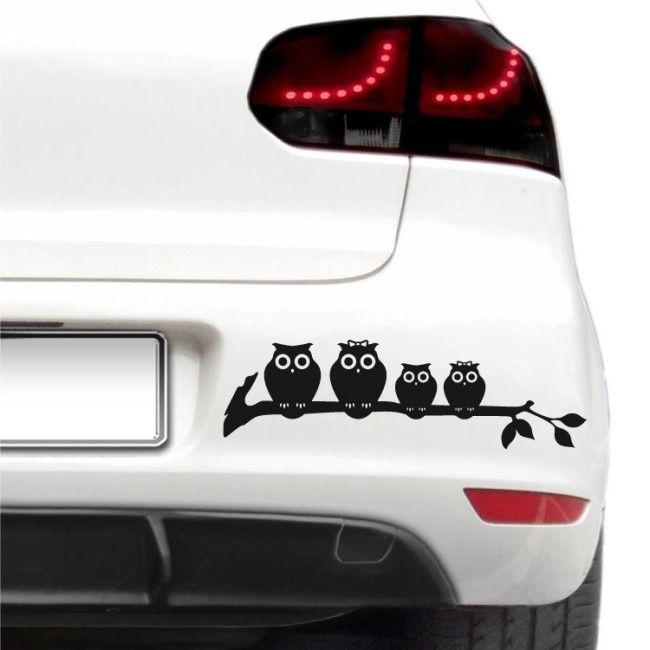 Autós matrica - Bagoly család