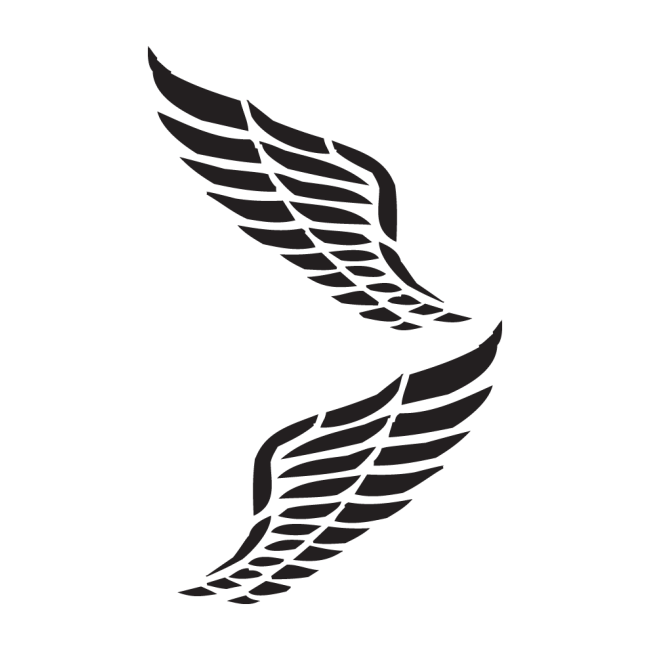 Autós matrica - Tribal szárnyak