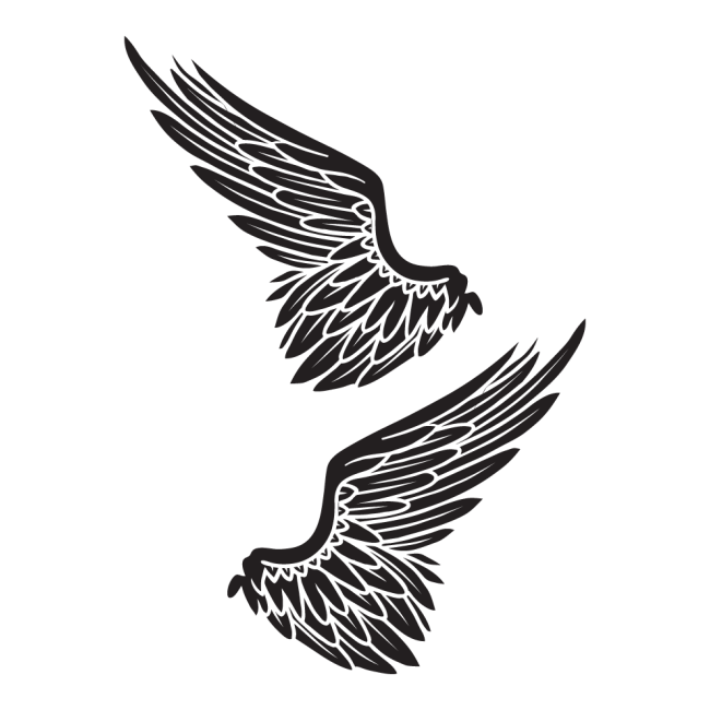 Autós matrica - Szárny