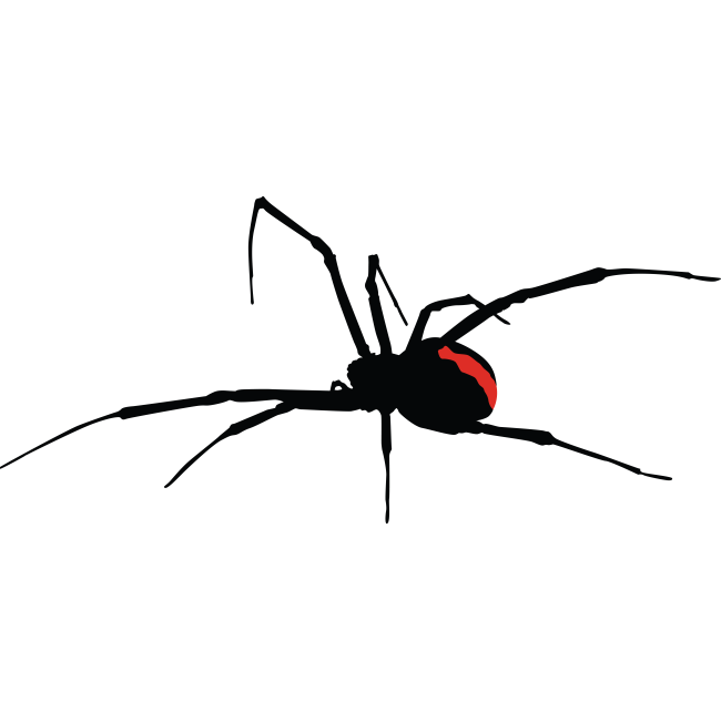 Autós matrica - Pók !-51%! - 115Sz x 52M(A1256)