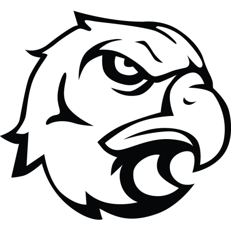 Autós matrica - Sasfej