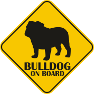 Autós matrica - Bulldog matrica