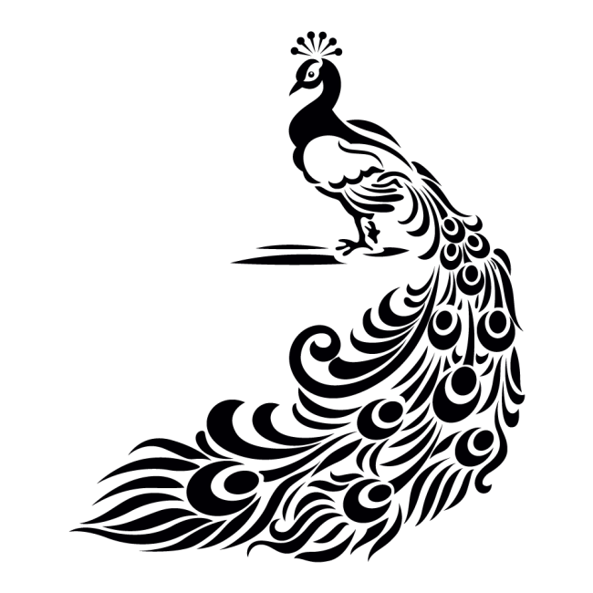 Fogas falmatrica - Páva