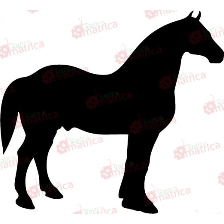 Ló - Falmatrica / Faltetoválás