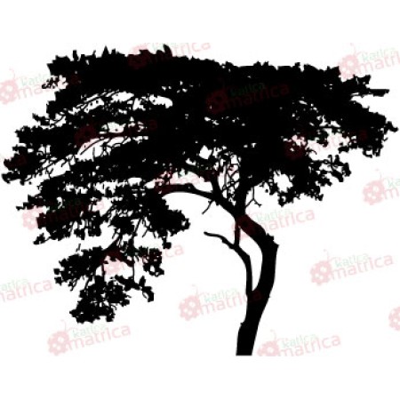 Meghajlott fa - Falmatrica / Faltetoválás