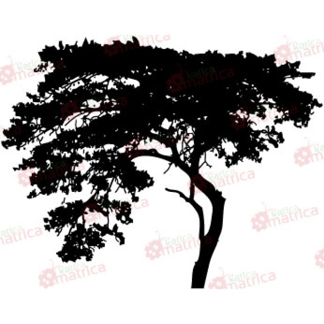 Meghajlott fa - Falmatrica / Faltetoválás