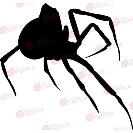 Pók - Falmatrica / Faltetoválás