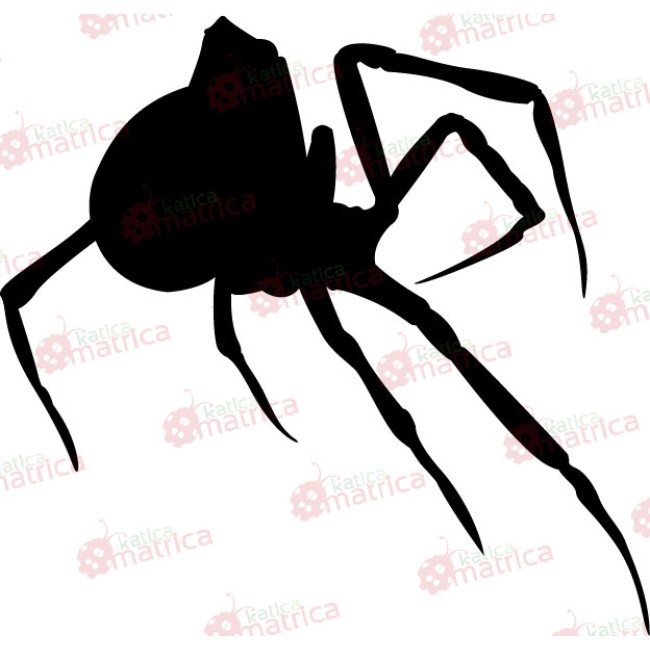 Pók - Falmatrica / Faltetoválás