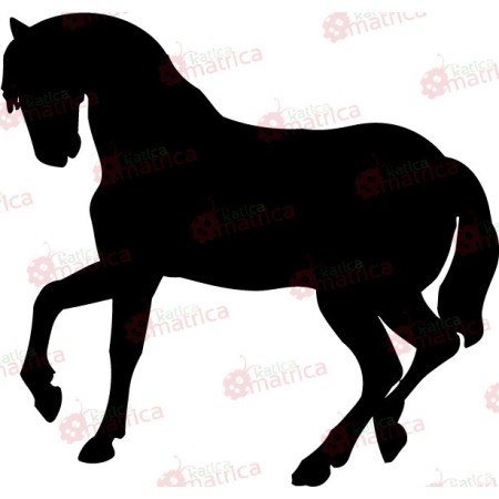 Paripa - Falmatrica / Faltetoválás