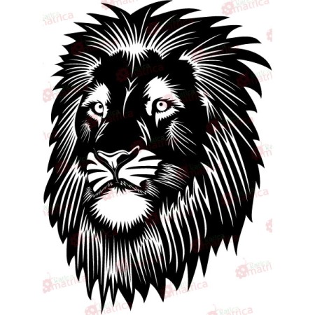 Oroszlán - Falmatrica / Faltetoválás