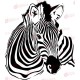 Zebra - Falmatrica / Faltetoválás