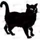Fekete macska - Falmatrica / Faltetoválás