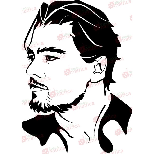 Leonardo di Caprio - Falmatrica / Faltetoválás