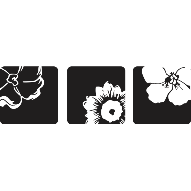 Háromrészes virágok