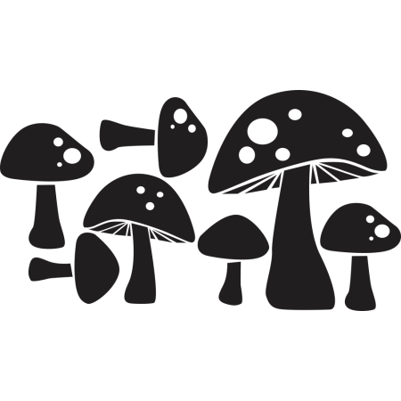 Gombák - Falmatrica / Faltetoválás