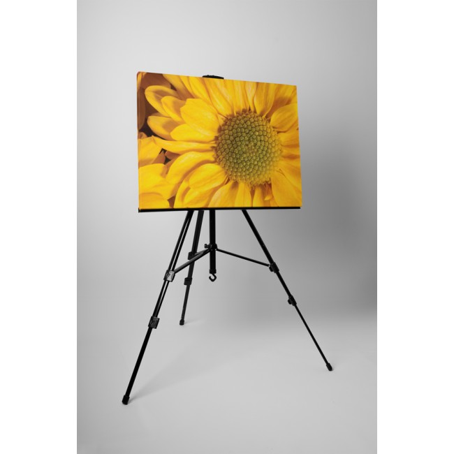 Sárga napraforgó virág