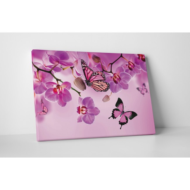 Rózsaszín pillangók