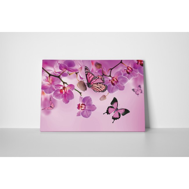 Rózsaszín pillangók