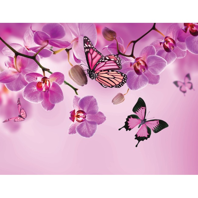 Rózsaszín pillangók