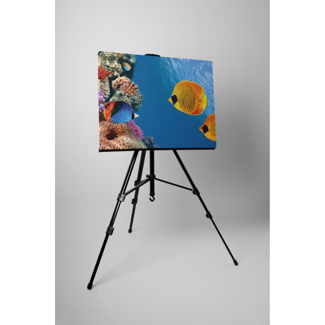 Színes tengervilág