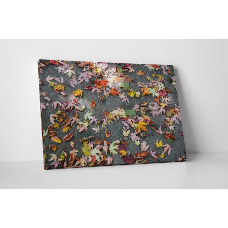 Színes őszi levelek