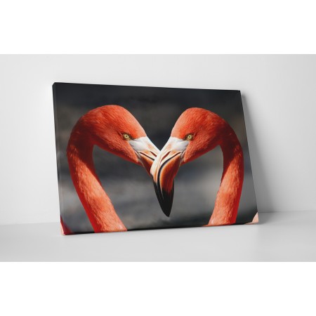 Szerelmes flamingók