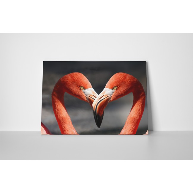 Szerelmes flamingók