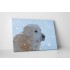 Arany retriever