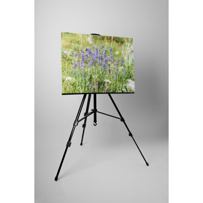 Lila virágok a mezőn