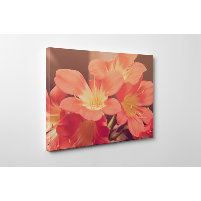 Csodálatos virágok