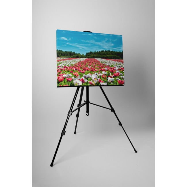 Színes virágok a réten