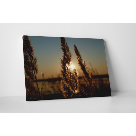 Naplemente a gabonamezőn