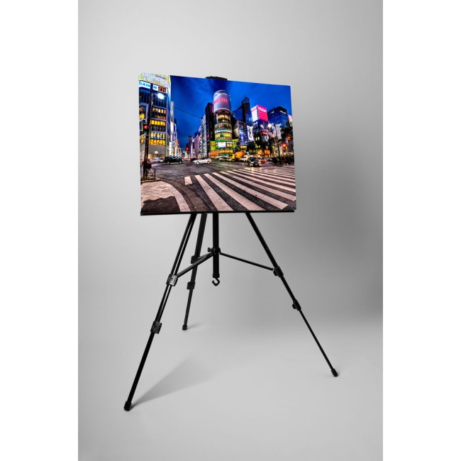 Tokió belvárosa, Ginza