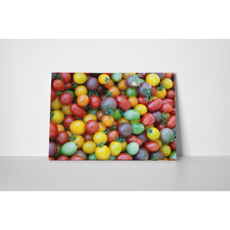 Sokszínű paradicsomok