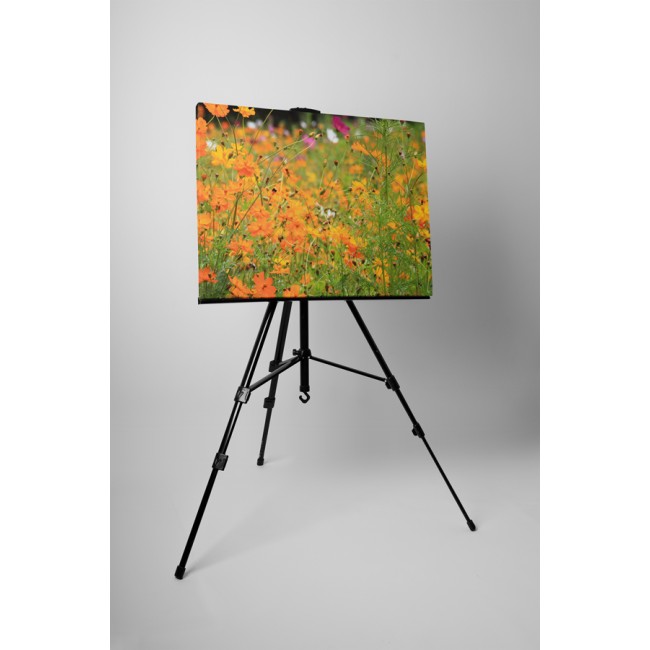 Narancs színű virágok