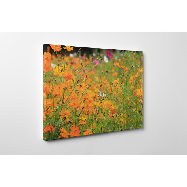 Narancs színű virágok