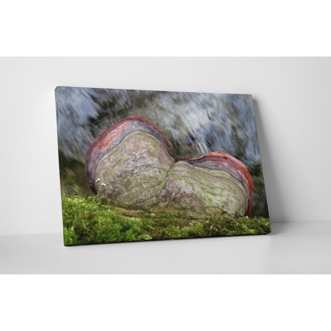 Természetes kontraszt