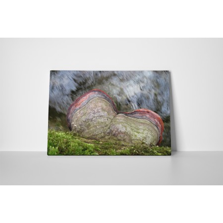 Természetes kontraszt