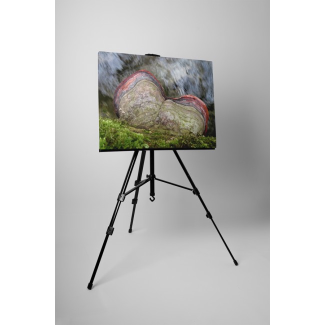 Természetes kontraszt