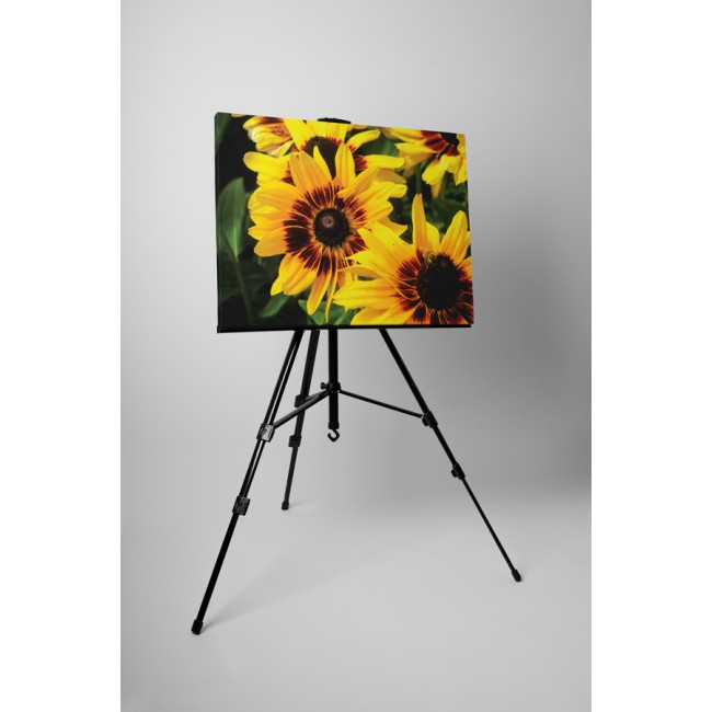 A legszebb sárga gerbera