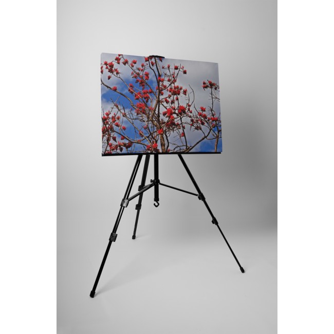 Virágzó fa a magasban