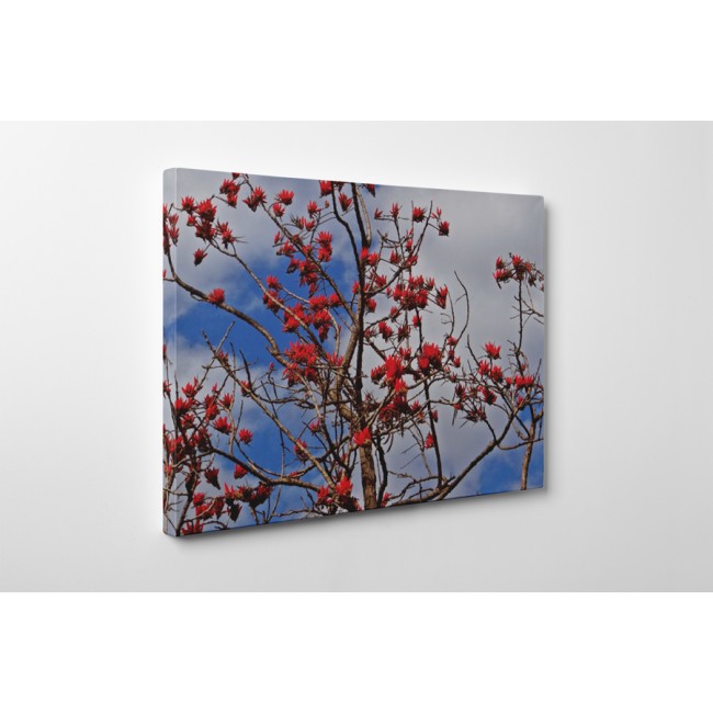 Virágzó fa a magasban