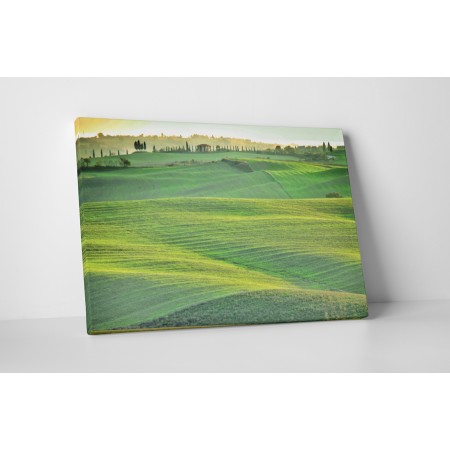 Hullámos mező a távolban