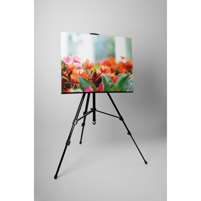 Narancssárga krókusz