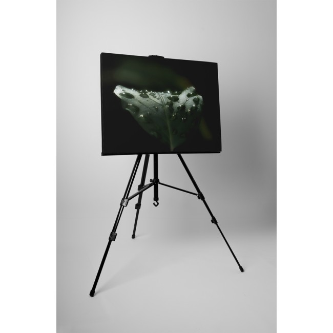 Vízcseppek a levelen