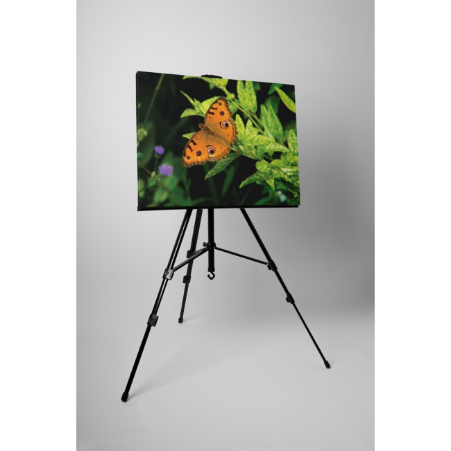 Szimmetrikus pillangó