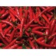Csípős paprika