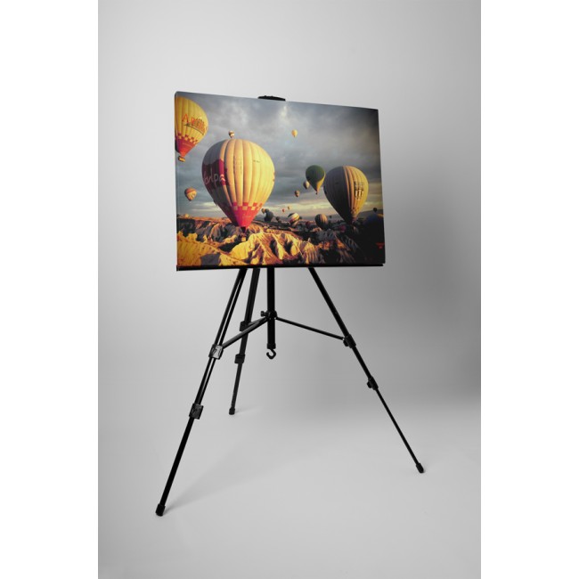 Hőlégballonok találkozója