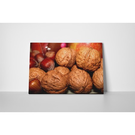 Dióhéjas termések