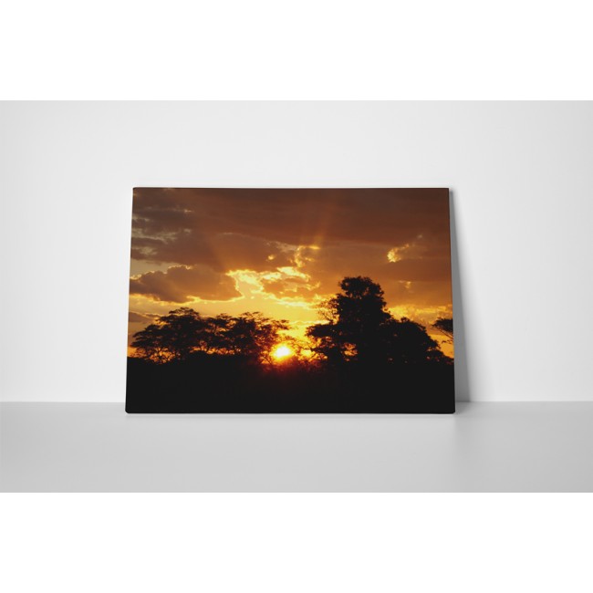 Áttörő napsugarak